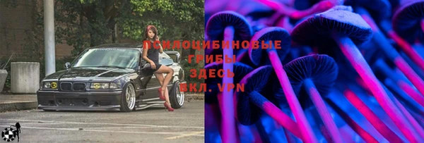 ешки Верея